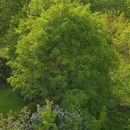 Warsaw Modlin In Легьоново